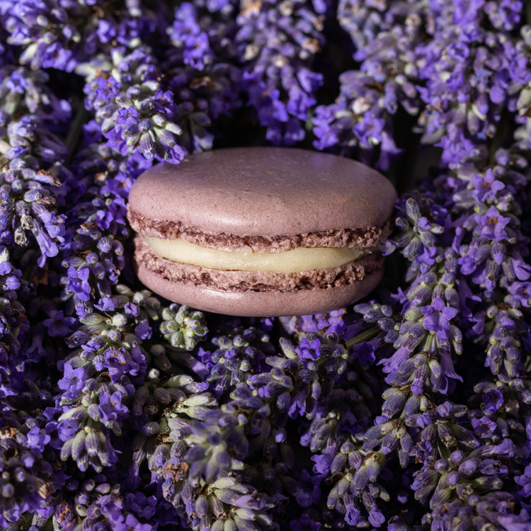 The Lavender Macaron