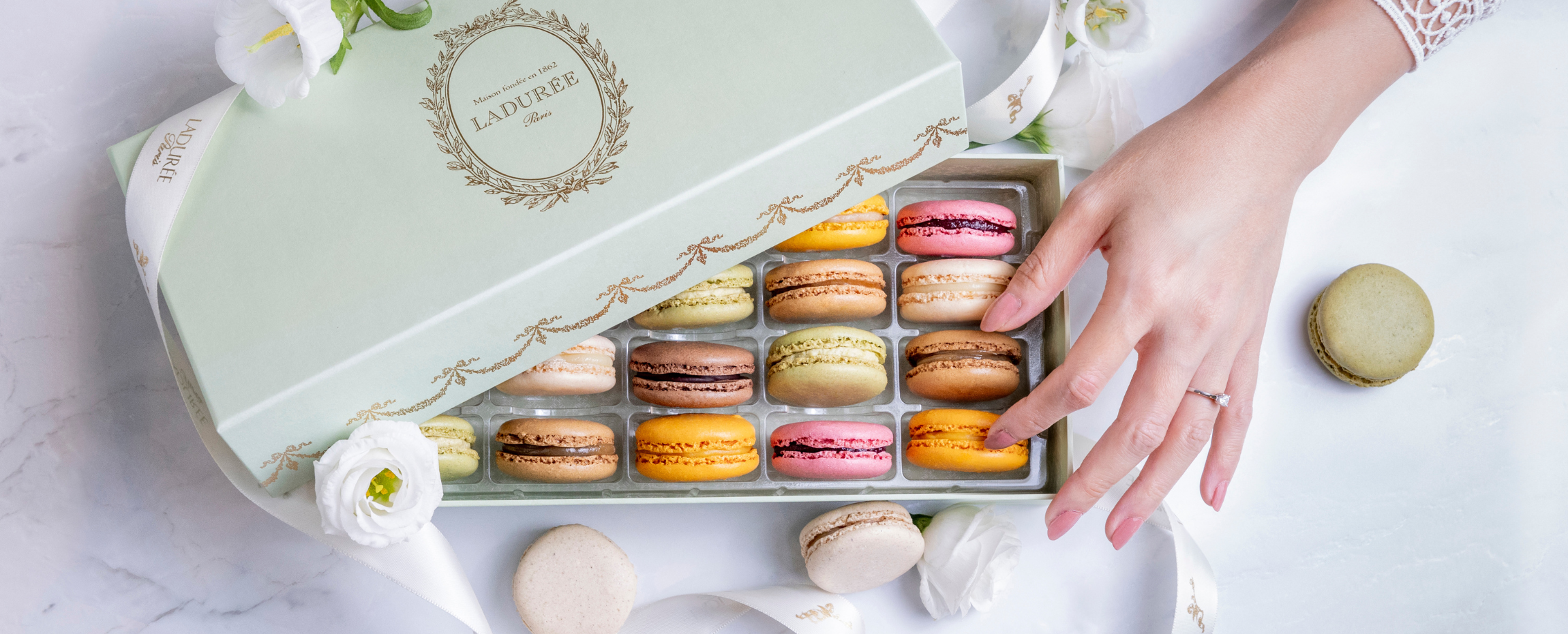 A box of macarons to compose